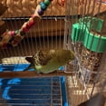 thumbnail image 6 of 2 Pieces Water Dispenser Automatic Drinker Clear Container Cockatiel Feeding Supplies for Parakeet Cage, 6 of 8