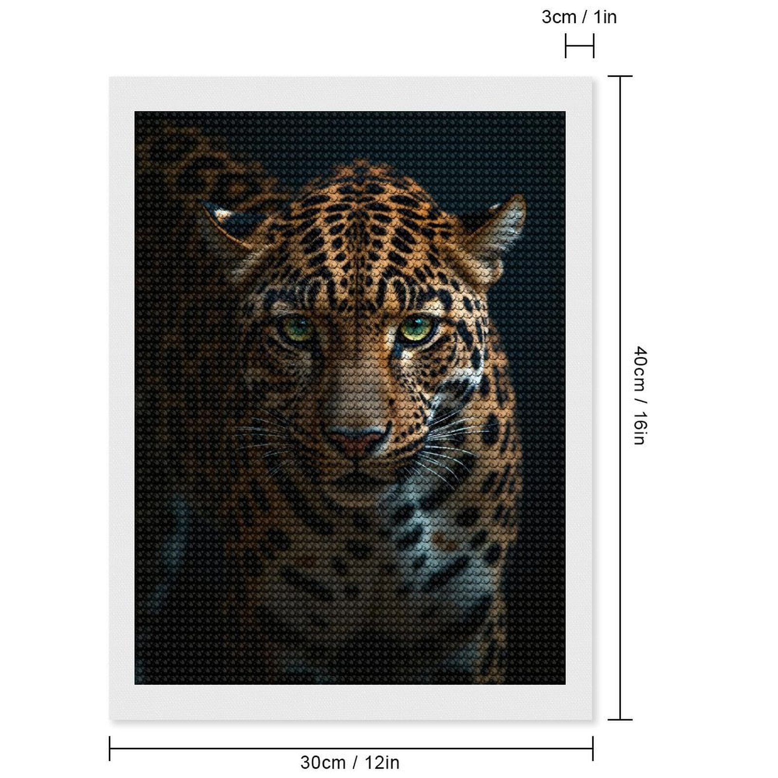 Diamond Art Kits for Adults, Majestic Spotted Big Cat Portrait 5D Diamond Painting Kits for Adults Beginners, DIY Full Drill Diamond Painting, Gem Art and Crafts 12x16