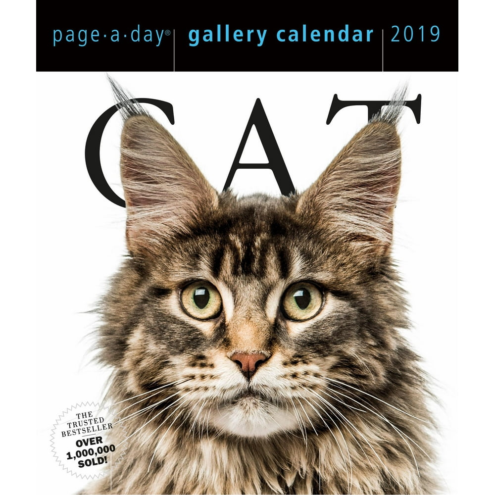 cat-page-a-day-gallery-calendar-2019-other-walmart-walmart