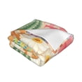 thumbnail image 3 of XMXT Flannel Throw Blanket for Couch, Colorful Succulent Pots Bed Sofa Decor Blankets for Home Bedroom, 40 x 30 inches, 3 of 9