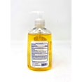 thumbnail image 2 of Dalan Hand Wash Anti-Bacterial Active Protection Pump, 10.15 oz, 2 of 2