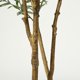thumbnail image 5 of QinaQin Árbol de olivo artificial de 5 pies con maceta blanca y frutos realistas, planta decorativa para sala, oficina o recibidor, 5 of 9