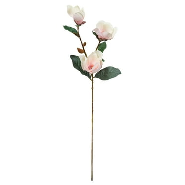 8 Pack: Coral Magnolia Stem by Ashland®