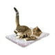 thumbnail image 5 of Fiudx Manta Relajante de Terciopelo Coral Suave con Borde Elevado para Mayor Comodidad, Antiansiedad, Perfecta para Gatos, Lavable a Máquina, Un Complemento Acogedor para El Hogar, 32 X 25 Cm., 5 of 7