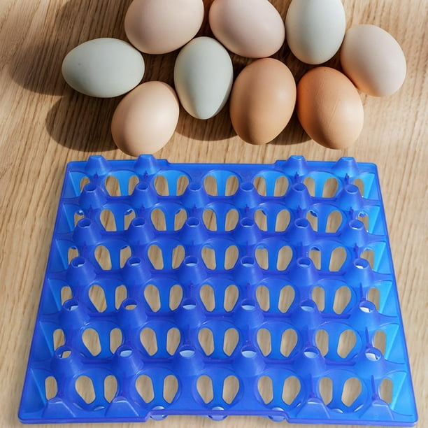 Soporte de Plástico para Huevos de Transporte de Larga Distancia de 30 Rejillas, Bandeja de Incubación, Contenedor de Huevos, Transferencia de Paletas Azul Yinane Caja de almacenamiento de huevos