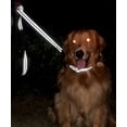 thumbnail image 4 of Correa reflectante para perros con asa acolchada y gancho de metal, correa de nailon de 1,5 m x 2,5 cm para perros medianos y grandes, negra JAMW Sencillez, 4 of 5