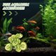 thumbnail image 4 of unbranded Planta De Acuario Artificial Para Y En Peceras, 4 of 6