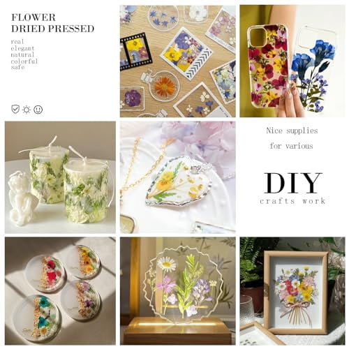 84Pcs Assorted Pressed Dried Leaves and Real Natural Bulk Dry Flowers for DIY Art Crafts, Epoxy Resin Jewelry, Candle and Soap Making, Nail Decoration Gifts