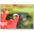 thumbnail image 3 of New 0.43x High Grade Wide Angle Conversion Lens (30mm) For Sony Handycam DCR-SR65, 3 of 4