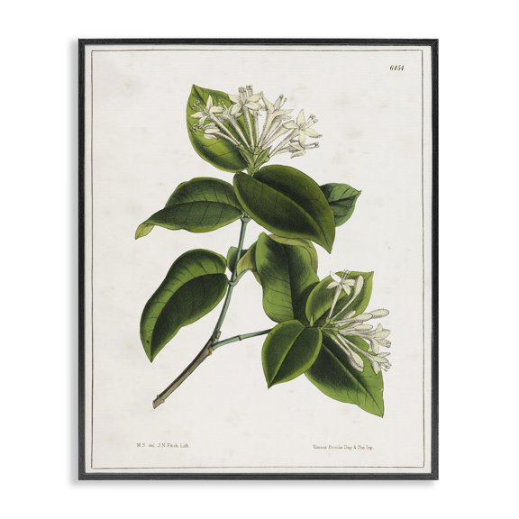 Stupell Industries Cottage Black Framed Giclee Art, 11 x 14, by Tina Higgins Designs Inc.