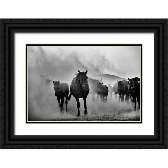 Emre Erol, M. 14x11 Black Ornate Wood Framed with Double Matting Museum Art Print Titled - Untitled