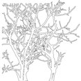 thumbnail image 2 of Crafter's Modèle d'Atelier 6"X6"-Branches TCW6X6-208, 2 of 3