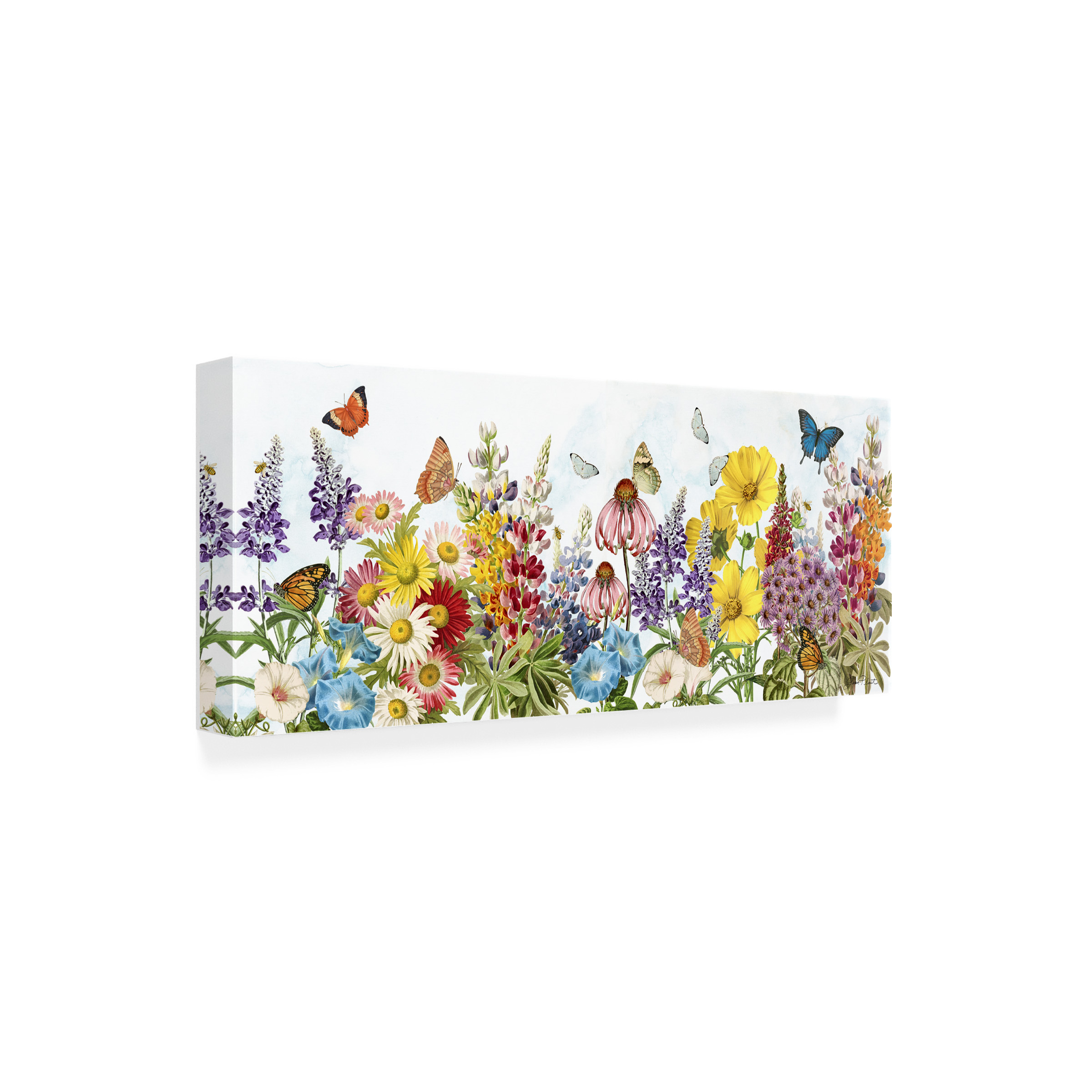 Canvas Wall Art - Jean Plout 'Summer Butterfly Garden Beauty A' Wall Art for Living Room, Bedroom, or Office Décor by Trademark Fine Art - 47 x 20 Inches