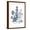 Brown Frame, variant on Art.com Loudon Florals II Art Print by Jane W. Loudon, 12" x 18"