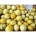 thumbnail image 3 of Graines de Concombre au Citron, 3 of 4
