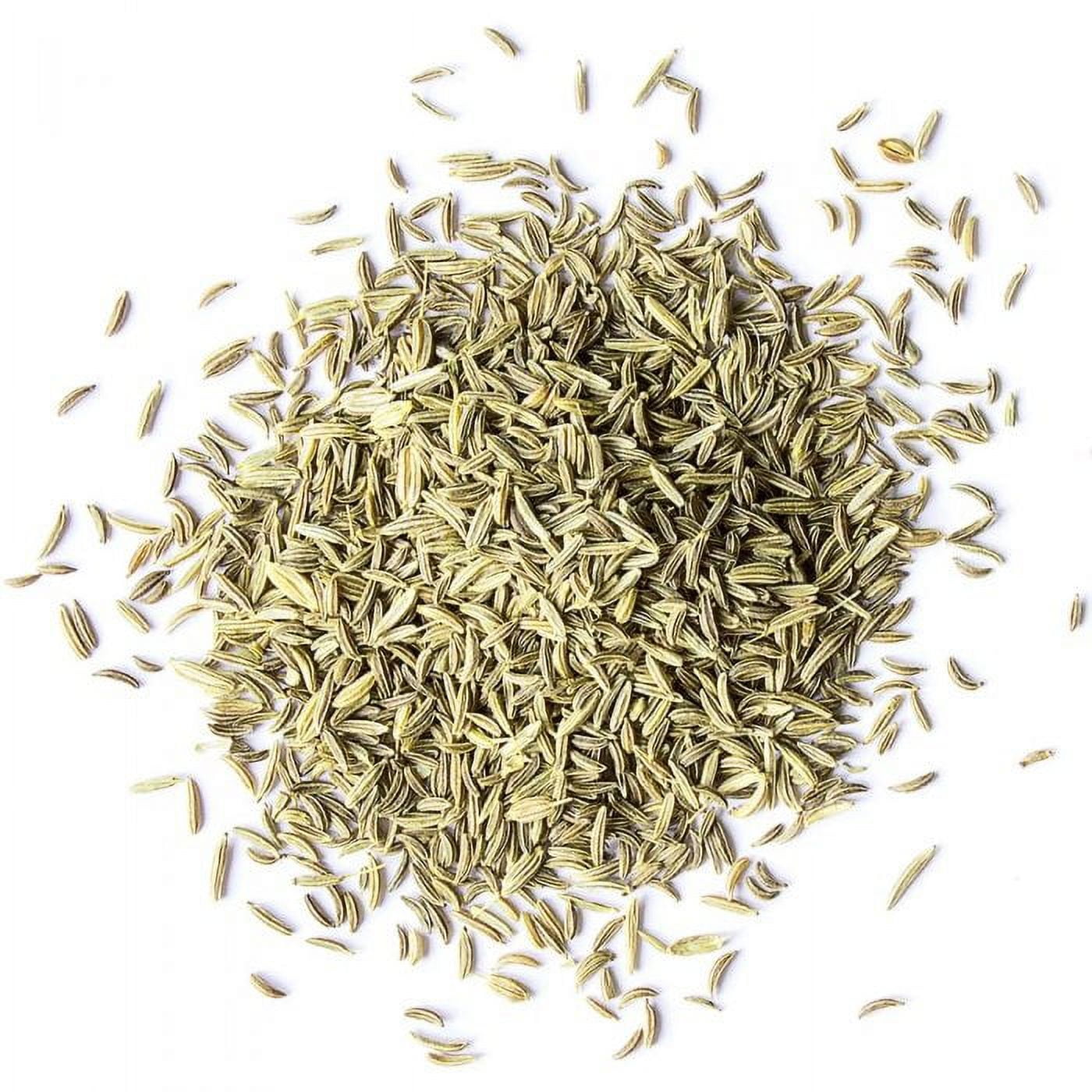Fennel Seeds, Non-GMO Verified, 3 Pounds — Kosher, Vegan, Raw — by Food to Live
