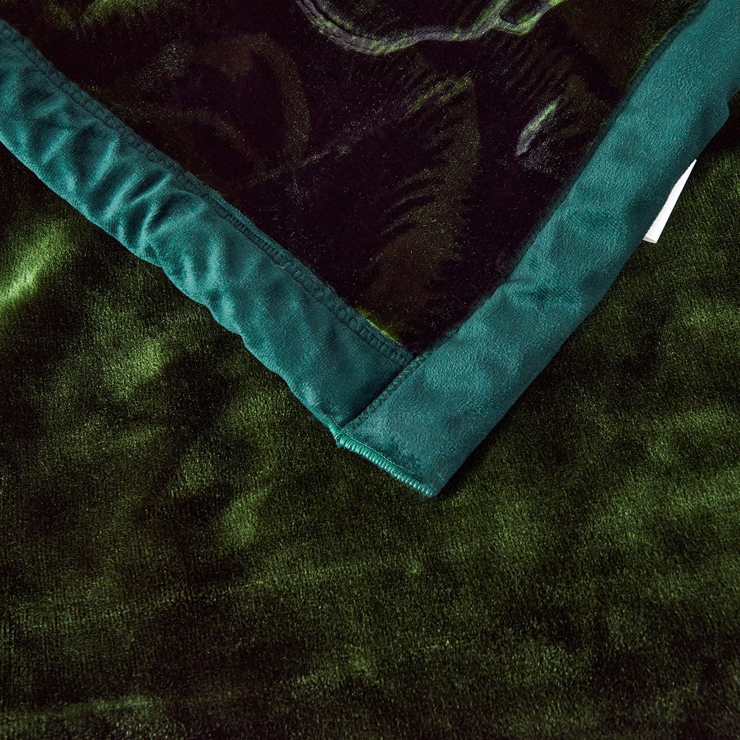 NC Queen Fleece Bed Blanket,2 Ply Heavy Thick Mink Warm Blanket for Winter 79"x91",7.5lbs