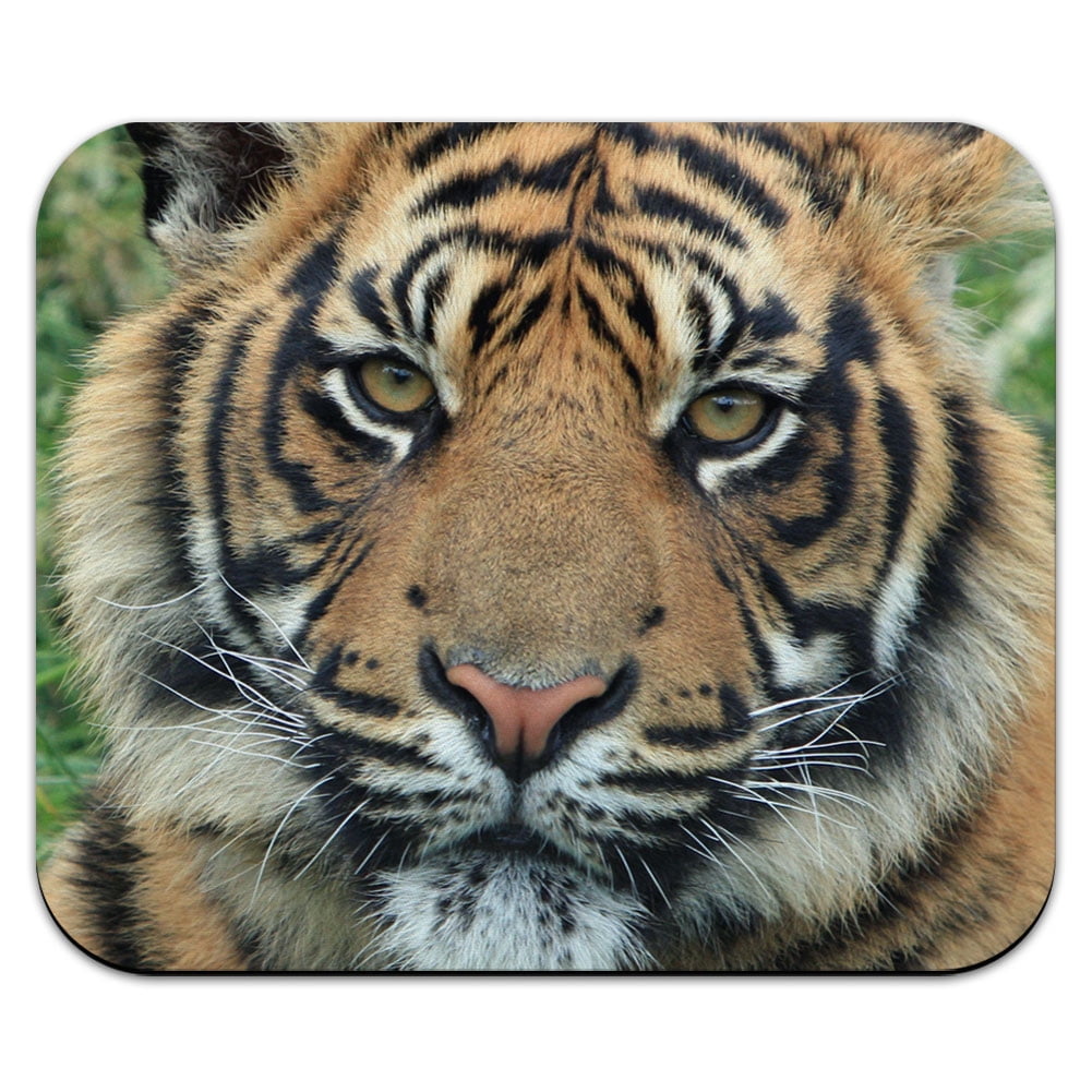 Bengal Tiger Mouse Pad