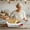 Light Gray, variant on Storage Containers Storage and Proofing Round Oval Bread Set with Covers Durable Kitchen Tools for Fermentation and Baking