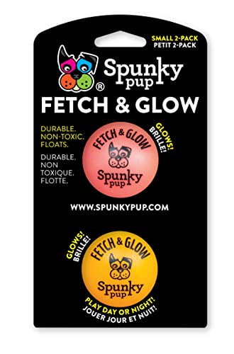 Fetch & Glow Ball Small 2 Pack Dog Toys