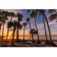 thumbnail image 2 of Jones, Adam 14x11 White Modern Wood Framed Museum Art Print Titled - Sable palm tree silhouetted along shoreline of Harney Lake at sunset-Florida, 2 of 4