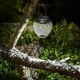 thumbnail image 2 of Linterna solar al aire libre con energía solar colgante luz jardín patio paisaje luz, 2 of 8