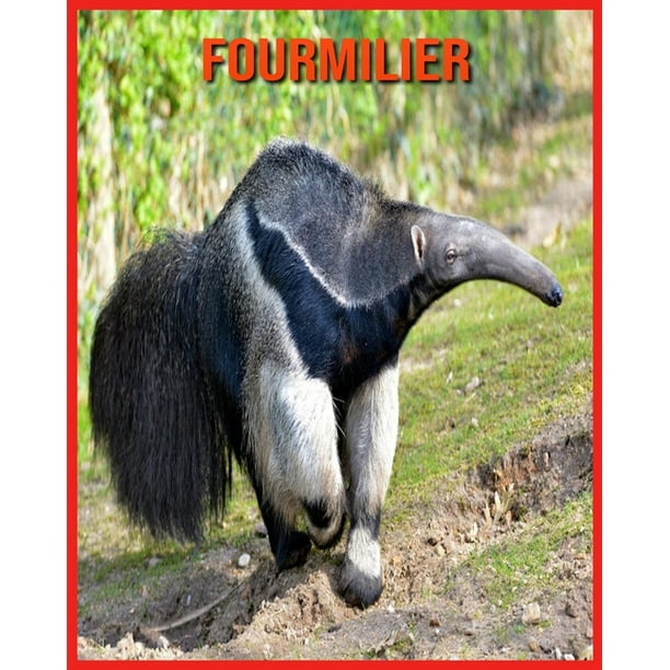 Fourmilier Images Incroyables Et Informations Amusantes Concernant Les Fourmilier Paperback Walmart Com Walmart Com