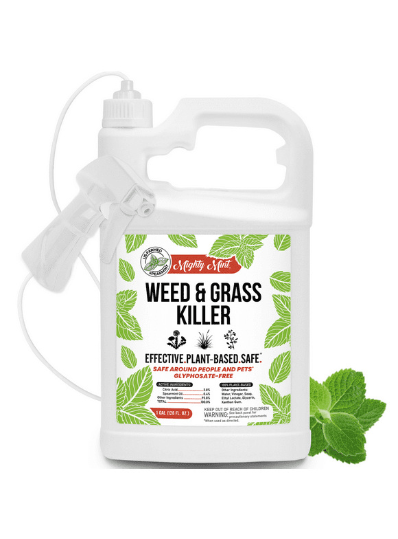 Mighty Mint Weed & Grass Killer  Ready to Spray Natural Weed Killer  For Organic Use  1 Gallon
