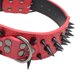 thumbnail image 4 of Collar de perro mascota arnés tachonado cuero de imitación punk remache collar de perro pu puntas afiladas suministros para perros, XS Yuyangstore  collar de cachorro, 4 of 4