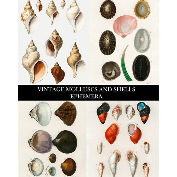 Vintage Molluscs and Shell Ephemera: Conchology Decorative Paper for Collages, Decoupage and Junk Journals, (Paperback)