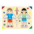 thumbnail image 3 of Rompecabezas de Madera The Learning Journey Lift and Learn Inside of Me 28 piezas Cuerpo Humano, 3 of 5