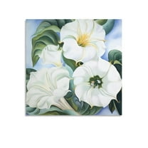 American Artist Georgia O'Keeffe Jimson Weed Poster Posters Art Print Wall Photo Paint Poster Hanging Picture Family Bedroom Decor Gift 20x20inch(50x50cm)
