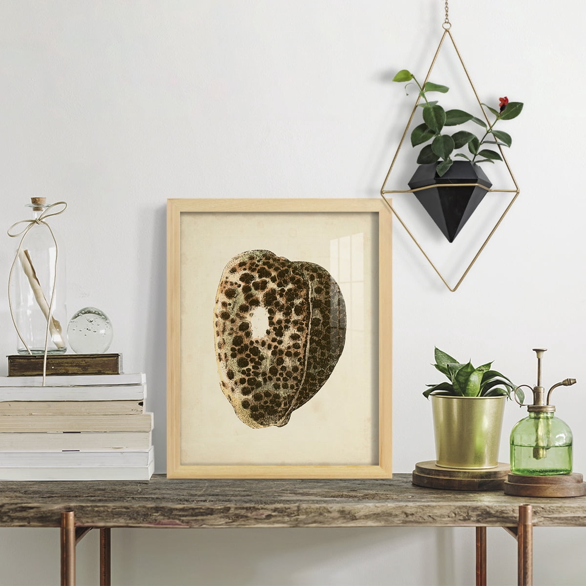 Sealife Collection III - Framed Print w/glass - Natural Wood
