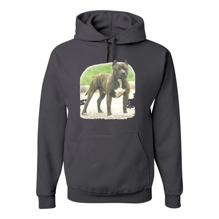 Wild Bobby, Pitbull Dog Animal Pet Lover, Dog Lover, Unisex Graphic Hoodie Sweatshirt, Charcoal, Small