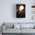 thumbnail image 2 of Canvas Wall Art - Fabien BRAVIN 'Communion Avec Les Astres' Wall Art for Living Room, Bedroom, or Office D?cor by Trademark Fine Art - 30 x 47 Inches, 2 of 4