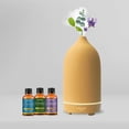 thumbnail image 3 of Porcelain Ultrasonic Aromatherapy Essential Oil Diffuser With Essential Oils, 3 of 3