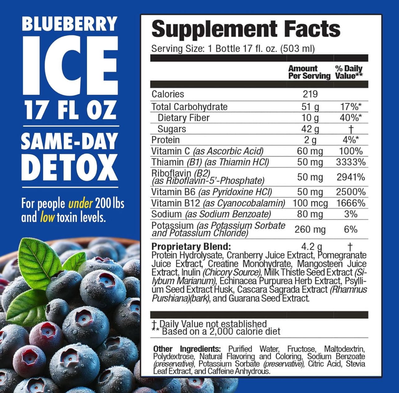 Rescue Detox Ice Ultra Premium Instant Cleansing Energy 17 oz – Detox Drink & Energy Boost