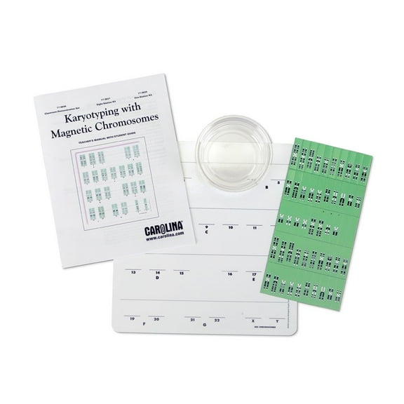 Karyotyping With Magnetic Chromosomes 8-Station Kit