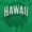 Irish Green, variant on Hawaii HI Student Campus Pride Seal Men's Graphic T Shirt Tees Brisco Brands S
