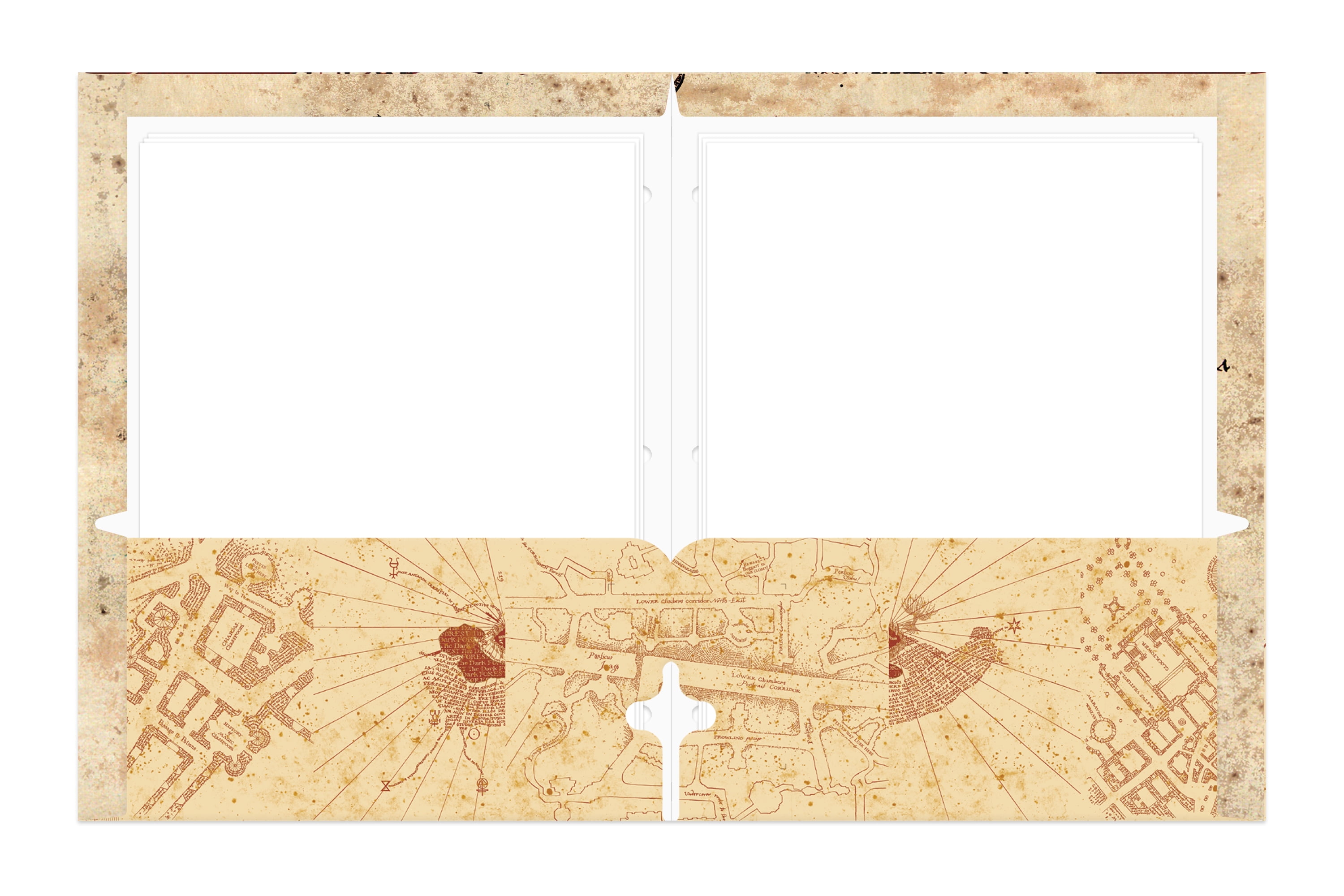 Warner Brothers Harry Potter 2-Pocket Paper Folder, 3-Hole Punched