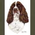 thumbnail image 3 of CafePress - English Springer Spaniel T Shirt - Men's Classic Graphic Cotton T-Shirt, 3 of 4