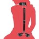 thumbnail image 1 of Kit de restricciones de cuello a muñeca, principiante de esclavo sexy detrás de las esposas traseras Col, 1 of 5