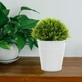 thumbnail image 4 of FUTUREORYY 5Ud Maceta De Hierro Para Jardín Y Oficina Con Acabado Anticorrosión Durable, 4 of 8