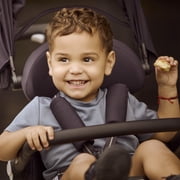Evolur Velo Rider Stroller, Caviar