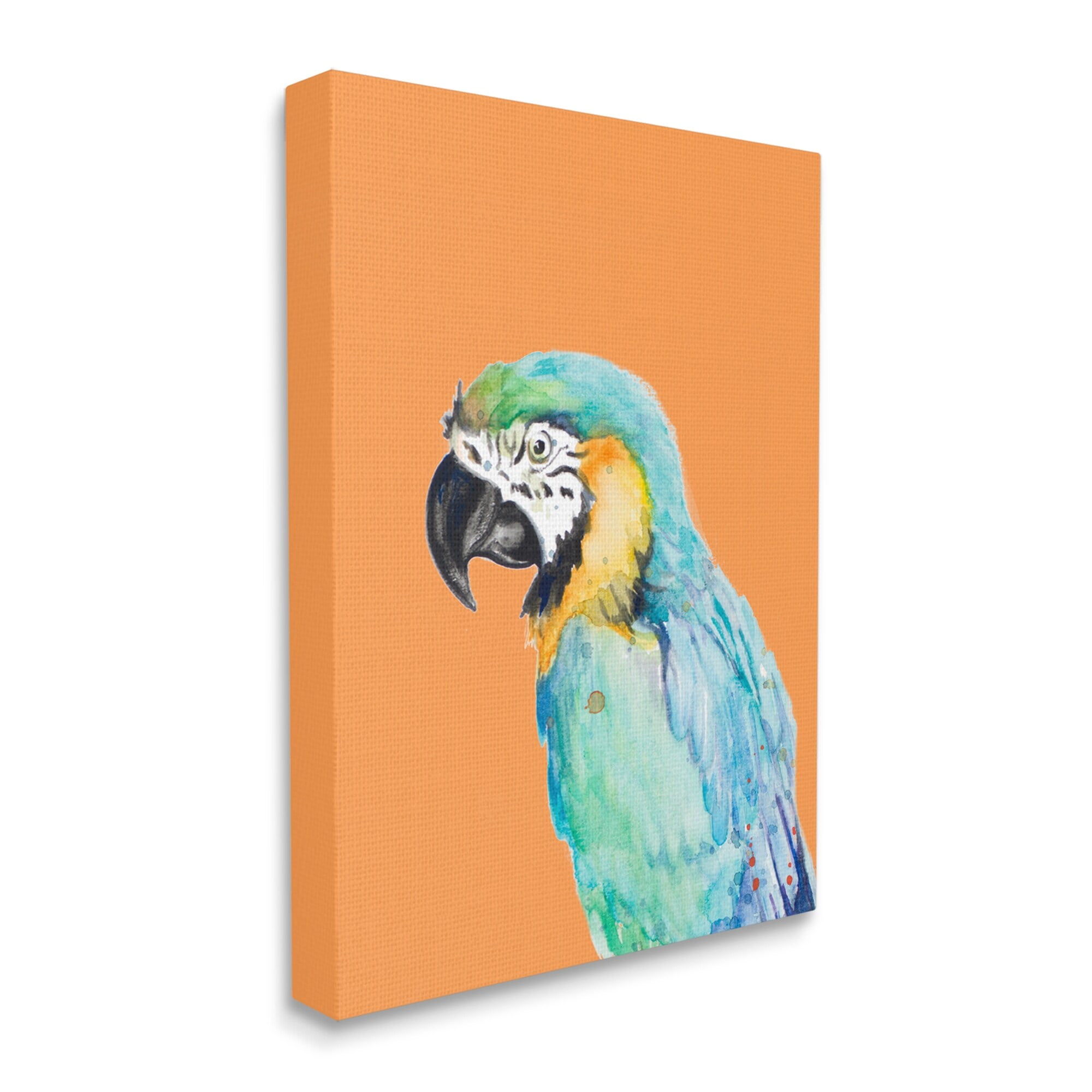 Stupell Industries Tropical Macaw Parrot Portrait Bold Rainforest Bird Graphic Art Gallery Wrapped Canvas Print Wall Art, Design by Patricia Pinto