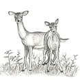 thumbnail image 3 of Wilson, Kelsey 12x12 Black Modern Framed Museum Art Print Titled - Watercolor Pencil Forest X-Deer Family, 3 of 5