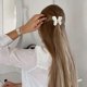 thumbnail image 3 of Butterfly hair clips for women 4pcs claw clips thin hair clips for girls medium hair clips matte hair clips cute hair accessories butterfly hair clips, 3 of 5