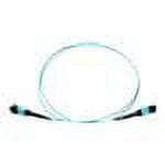 UPC: 0845282099034 | Axiom network cable – 16.4 ft – aqua