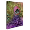 thumbnail image 2 of Trademark Fine Art "Peacock Candy III" Canvas Art by Color Bakery, 2 of 3
