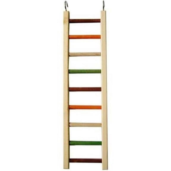 A&E Cage 644051 20 in. WD Hanging Ladder Toys - Medium